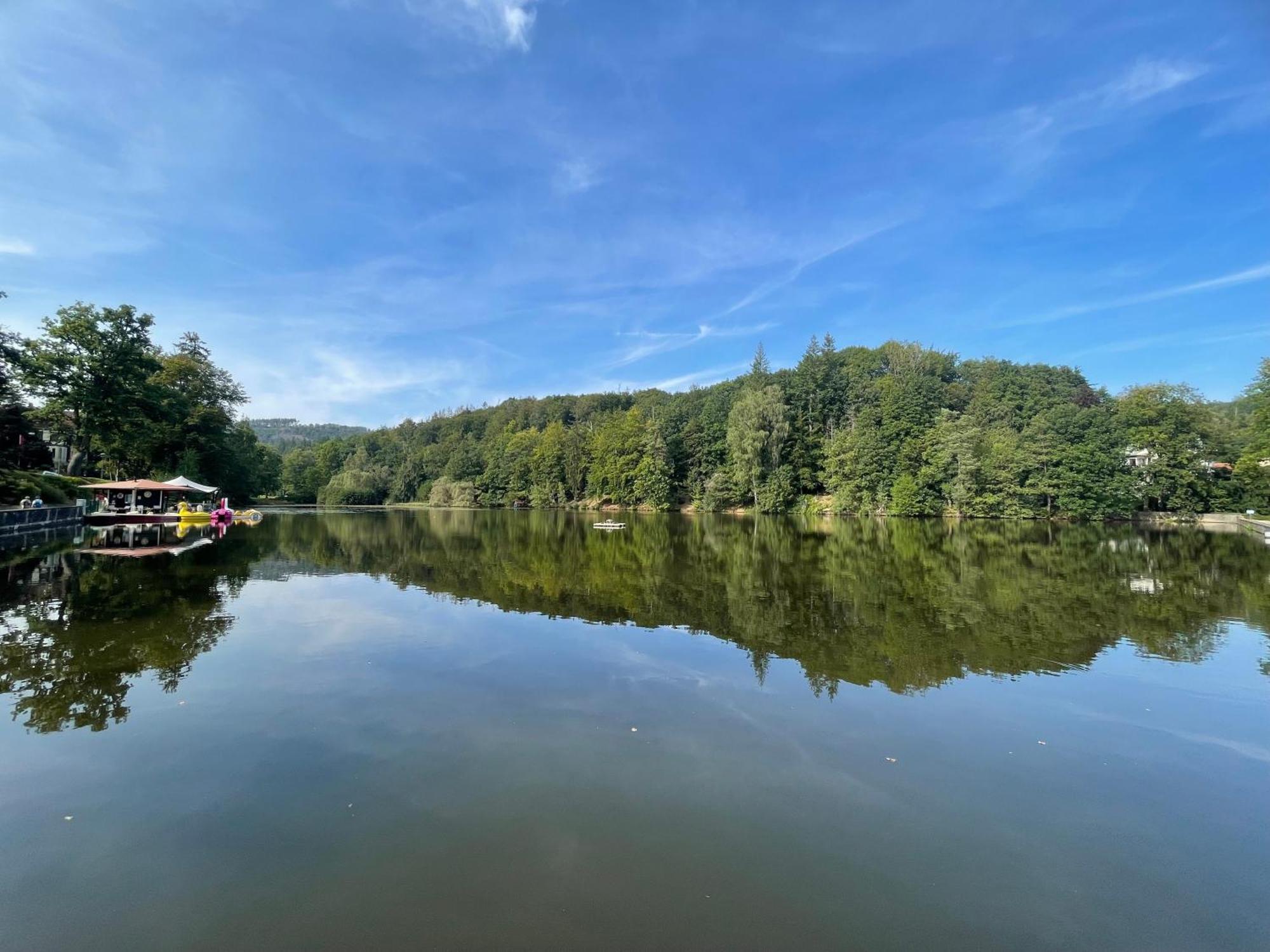 Ferienappartment "Kleine Waldpause" - Optional Mit Saunanutzung Бад-Закса Екстер'єр фото